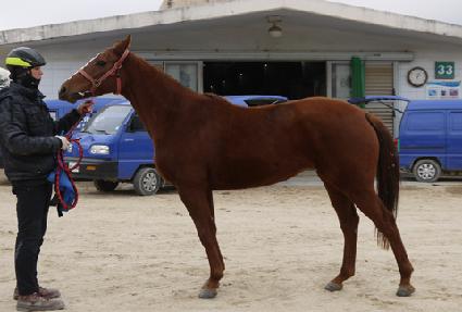 �׸���ũ ����