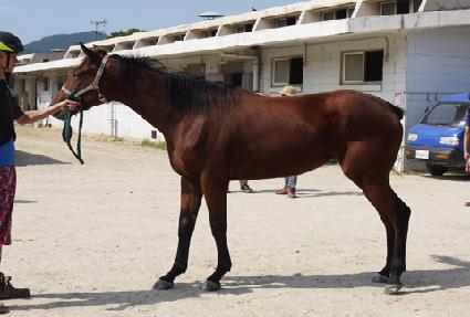 �����̳� ����