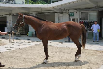 ���Ʈ�� ����