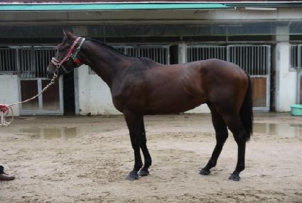 �Ʒ������� ����