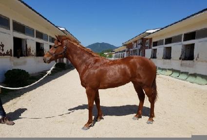 ���ð�� ����