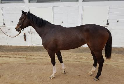 ���̿���ĸƾ ����