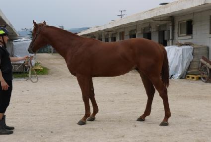 �������� ����