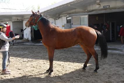 �޴����� ����