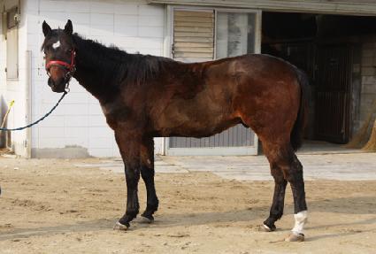 �������� ����