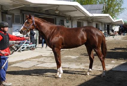 ����Ʋ���޸� ����