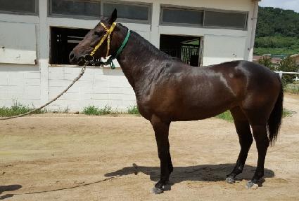 �ο�Ŭ�� ����