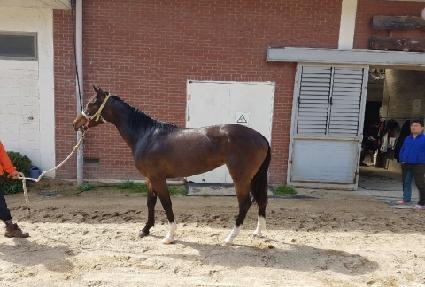 �׽�Ÿ���� ����