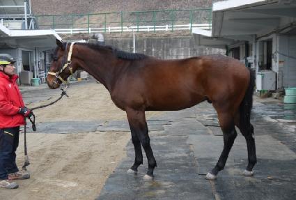 �⵿���� ����