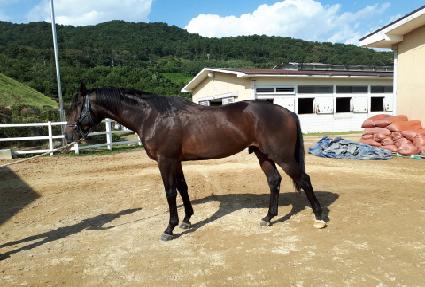 �ְ����� ����