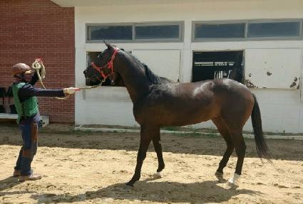 ���౸�� ����