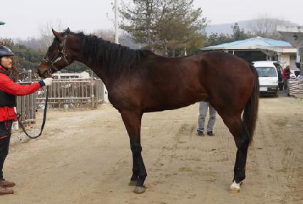 �������� ����