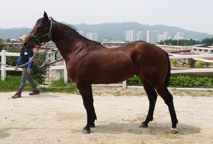 ��ǳ���� ����