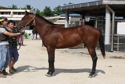 �������� ����