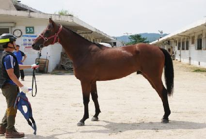 ��ȣõ�� ����