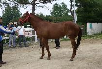 ����Ʈ��Ʈ (QUEEN STREET) ����