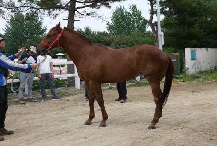 ����Ʈ��Ʈ ����