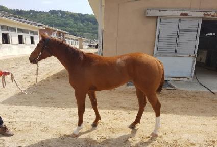 �ΰ��� ����