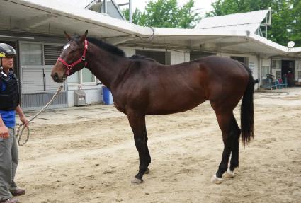 ������ ����