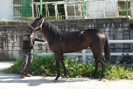 ����¡�� ����