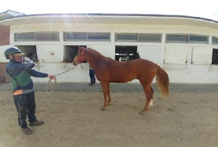 ��Ʈ ����