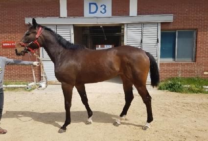 õ�⵿�ȵ� ����