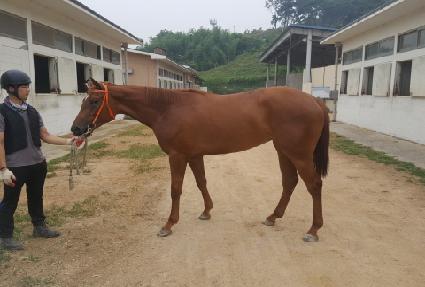 Ŭ�ι��� ����