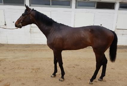 �����ô� ����