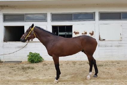 �����ö��� ����