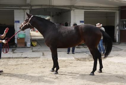 �û��� ����