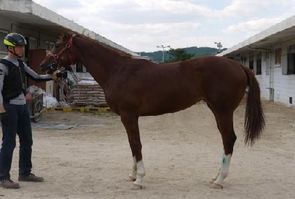 ������ ����