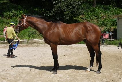 ������ ����