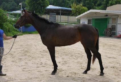 �Ķ��ٶ� ����