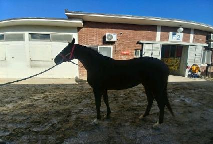 �����ǿ��� ����