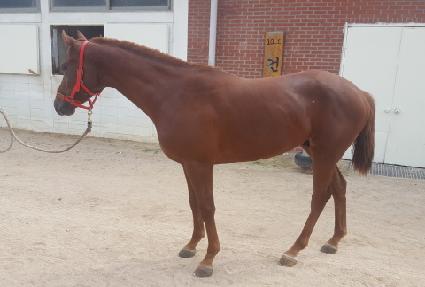 �����̳��� ����