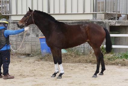 ��ȣ��ô ����