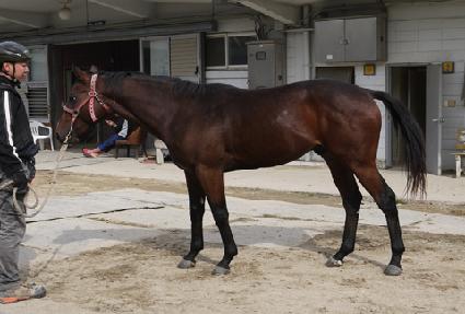 ������ ����