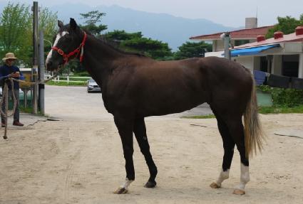 ��ǰ���� ����