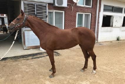 ��ī ����