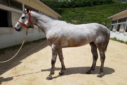 �������� ����