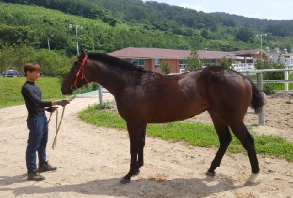 �����Ǹ��� ����