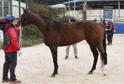 ���ҳ� ����