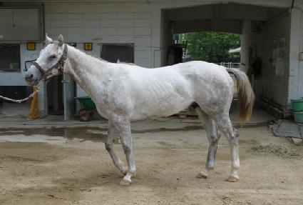 ��¾ٸ��� ����