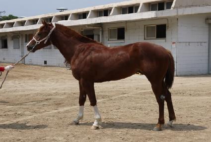 ��º��� ����