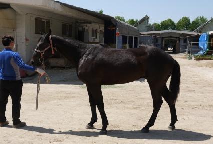 ����������� ����