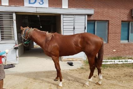 ������� ����