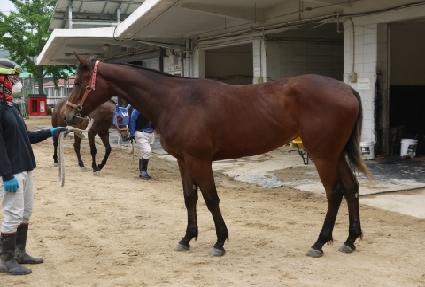 ����� ����