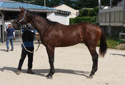 ���佺 ����