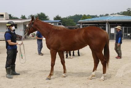 �޴Ͻ���Ʈ ����