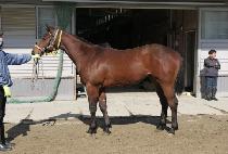 �̱۽�ī�� (EAGLE SKY) ����